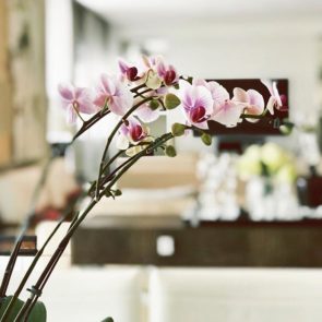 41762069_174948690010954_201276143314141184_n